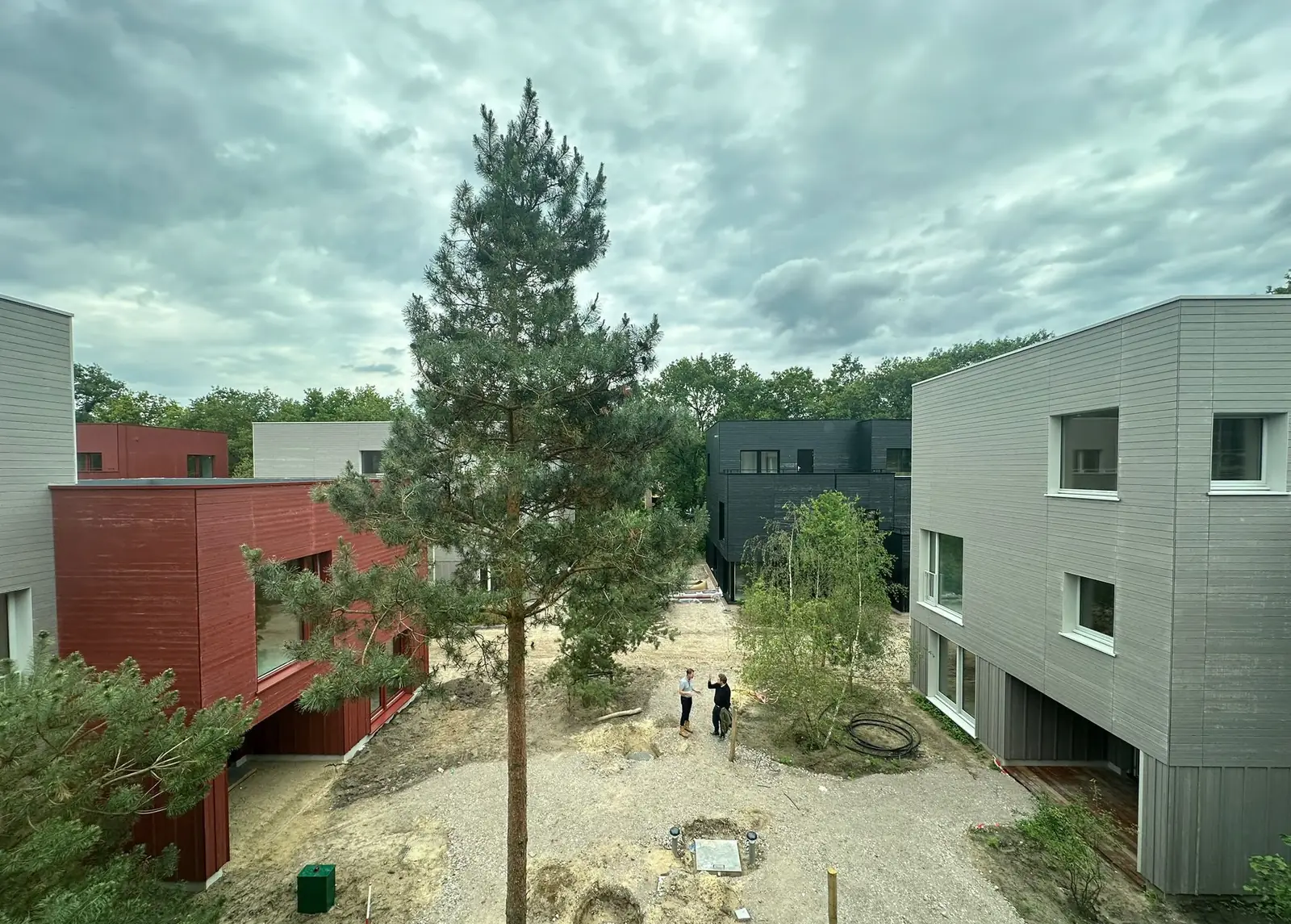 Photograph of the neighbourhood under construction, with completed timber-clad houses in red and grey around a mature pine tree