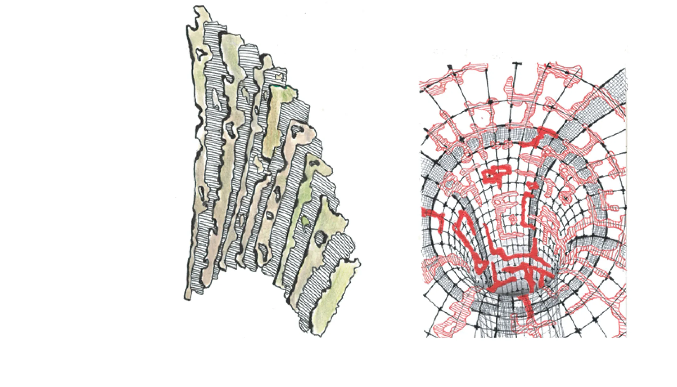 Two studies: a layered section through the seeded latex membrane and a red-and-black diagram of the fibre network