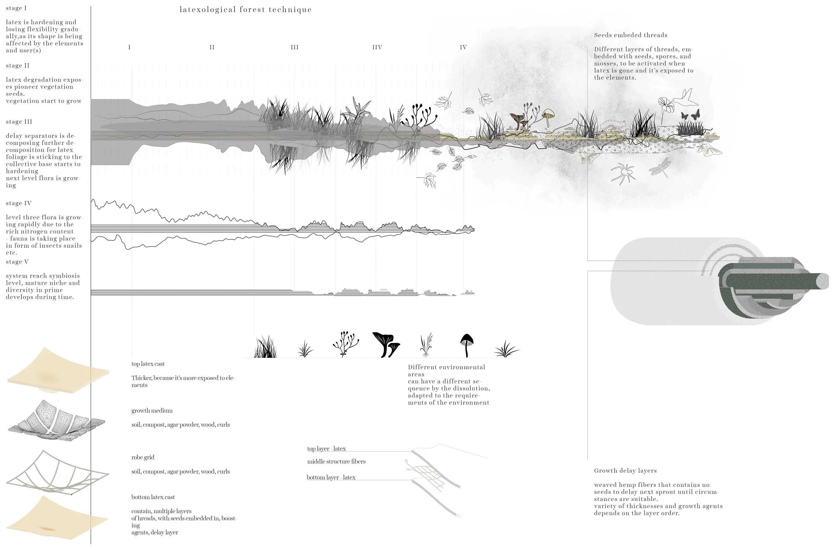 Long diagram tracking the structure through its life stages, from a taut latex membrane to a densely vegetated solid mass