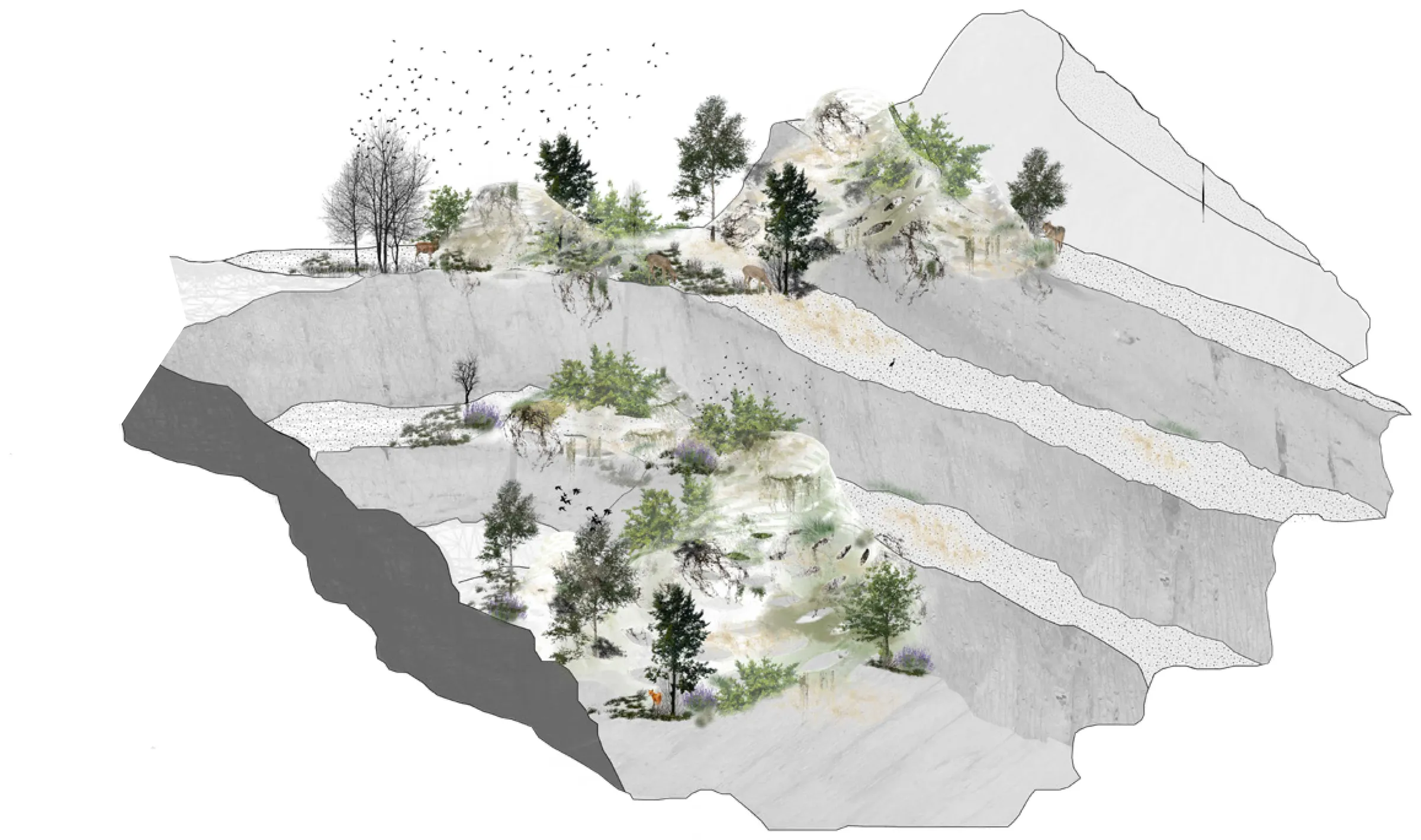 Axonometric drawing of the structure set into the stepped terraces of an abandoned mining landscape, with vegetation spreading across it